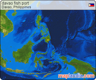 davao fish port satellite map