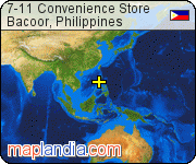 7-11 Convenience Store satellite map