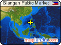 Silangan Public Market satellite map