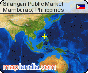 Silangan Public Market satellite map