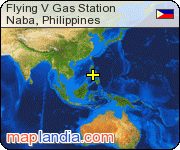 Flying V Gas Station satellite map