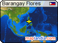 Barangay Flores satellite map