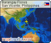 Barangay Flores satellite map