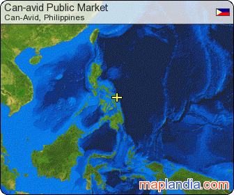 Can-avid Public Market satellite map