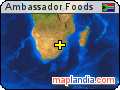 Ambassador Foods satellite map