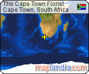 The Cape Town Florist satellite map