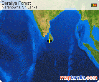Beraliya Forest satellite map