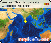 Animal Clinic Nugegoda satellite map