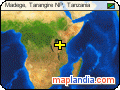 Madege, Tarangire NP, Tanzania satellite map