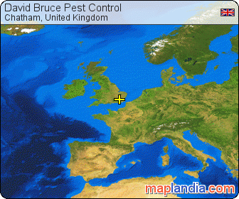 David Bruce Pest Control satellite map