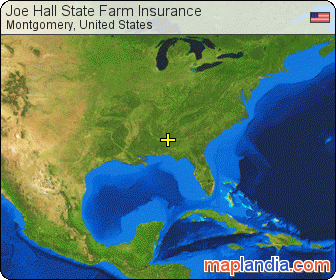 Joe Hall State Farm Insurance satellite map