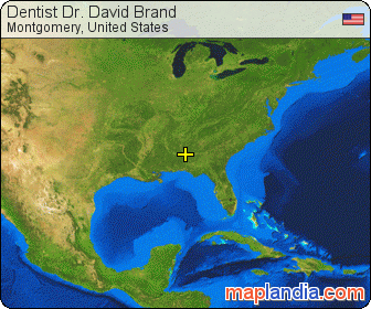 Dentist Dr. David Brand satellite map