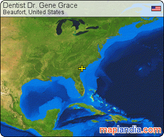 Dentist Dr. Gene Grace satellite map