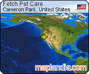 Fetch Pet Care satellite map