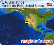 L.A. Bariatrics satellite map