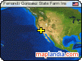 Fernando Gonzalez State Farm Ins satellite map