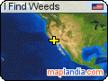 I Find Weeds satellite map