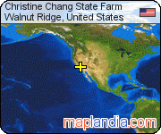 Christine Chang State Farm satellite map