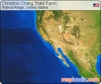 Christine Chang State Farm satellite map