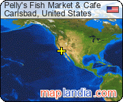 Pelly's Fish Market & Café satellite map