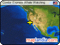 Condor Express Whale Watching satellite map