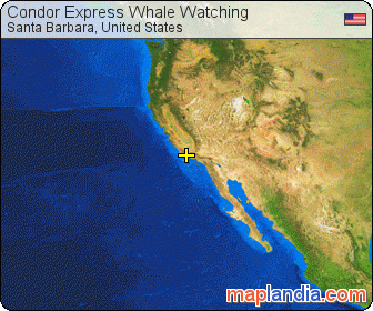 Condor Express Whale Watching satellite map