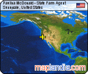 Paulina McDonald - State Farm Agent satellite map