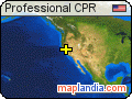Professional CPR satellite map