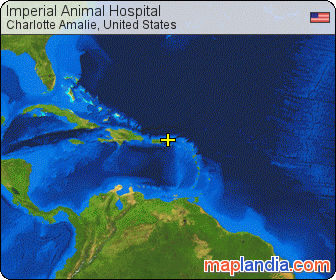 Imperial Animal Hospital satellite map