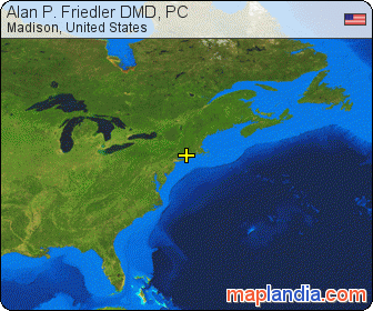 Alan P. Friedler DMD, PC satellite map