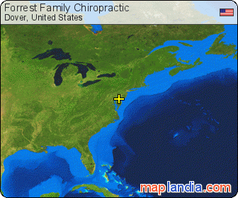Forrest Family Chiropractic satellite map