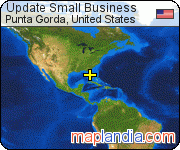 Update Small Business satellite map