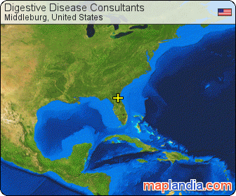 Digestive Disease Consultants satellite map