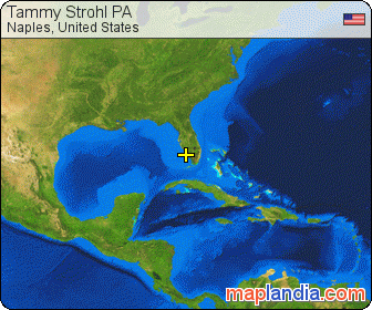 Tammy Strohl PA satellite map