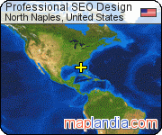 Professional SEO Design satellite map