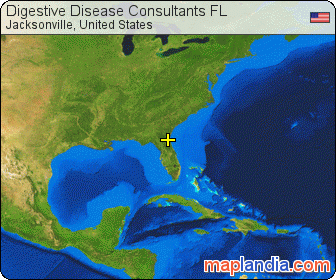 Digestive Disease Consultants FL satellite map
