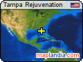 Tampa Rejuvenation satellite map