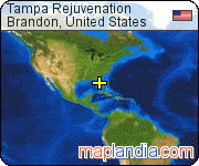 Tampa Rejuvenation satellite map