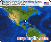 Breast Cancer Car Donations Tampa satellite map