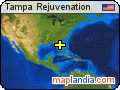 Tampa Rejuvenation satellite map