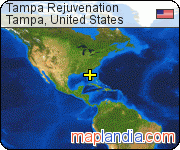 Tampa Rejuvenation satellite map