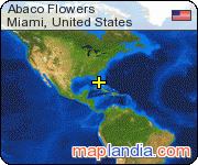 Abaco Flowers satellite map