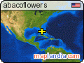 abacoflowers's map homepage