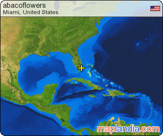 abacoflowers's map homepage