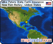 Mike Peters State Farm Insurance satellite map