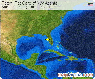 Fetch! Pet Care of NW Atlanta satellite map