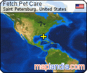 Fetch Pet Care satellite map