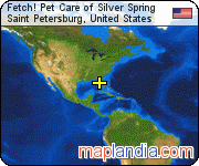 Fetch! Pet Care of Silver Spring satellite map