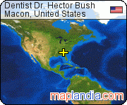 Dentist Dr. Hector Bush satellite map