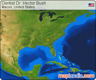 Dentist Dr. Hector Bush satellite map